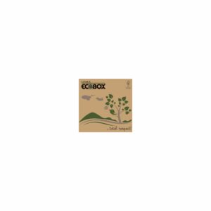 Pizzaæske 32x32x3 cm LWK FSC-mærket Brun med Logo Ecobox