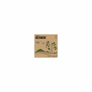 Pizzaæske 40x40x4 cm LWK FSC-mærket Brun med logo Ecobox