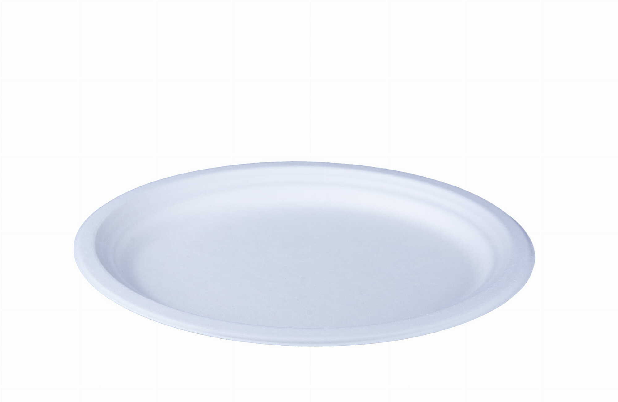 Einwegteller weiß, oval, 26 x 19,5 × 2 cm (Packung 50 Stück).